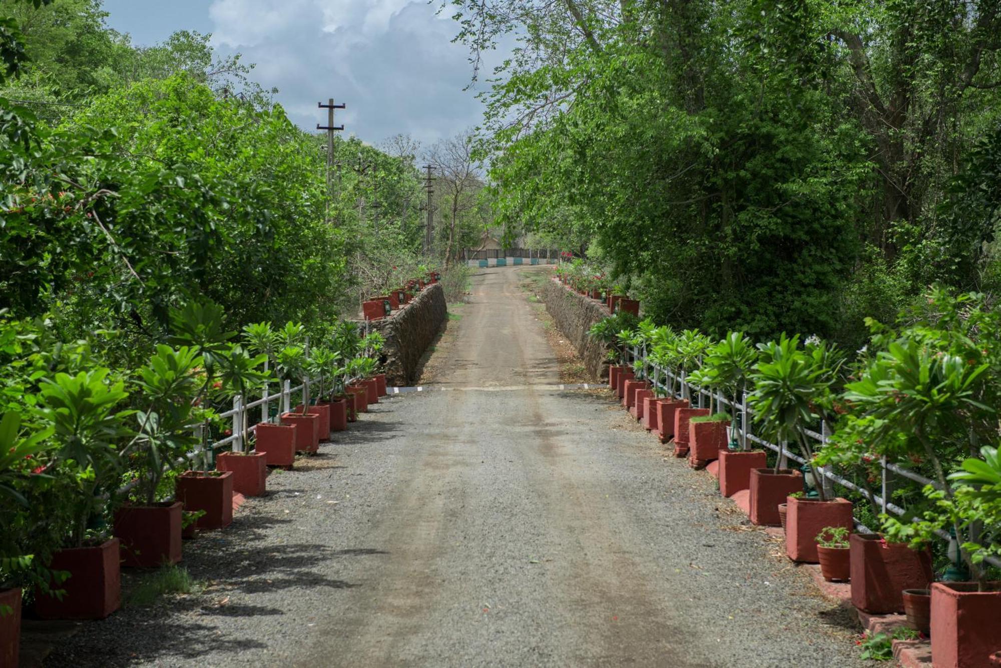 Gir Serai - Ihcl Seleqtions Sasan Gir Exterior foto